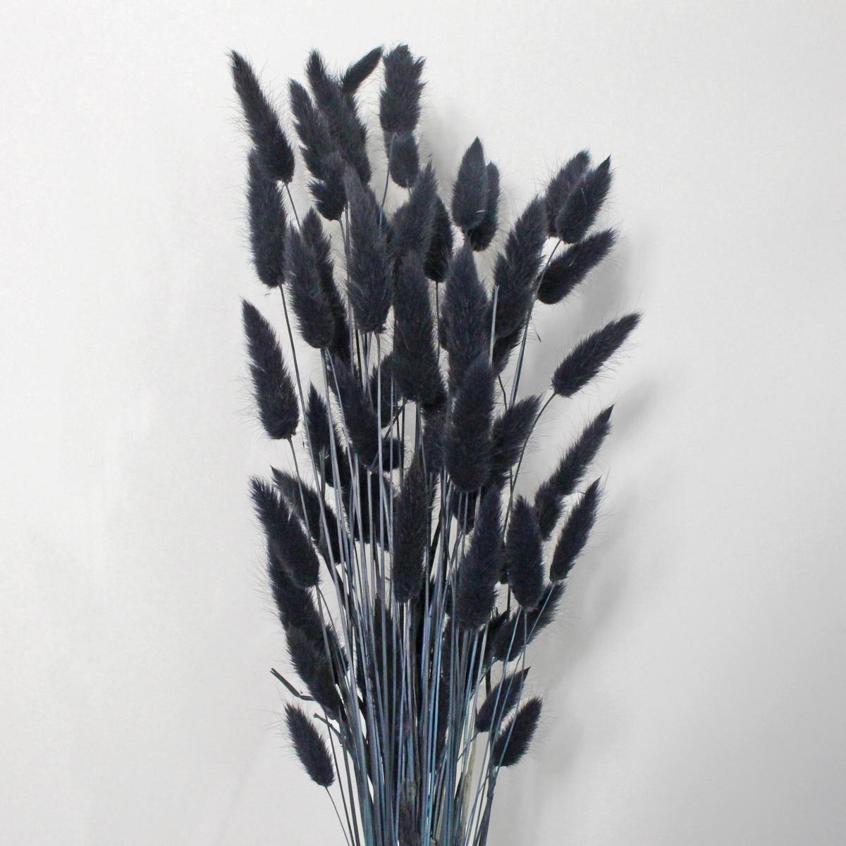Black Dried Lagurus 30g Black – image 2