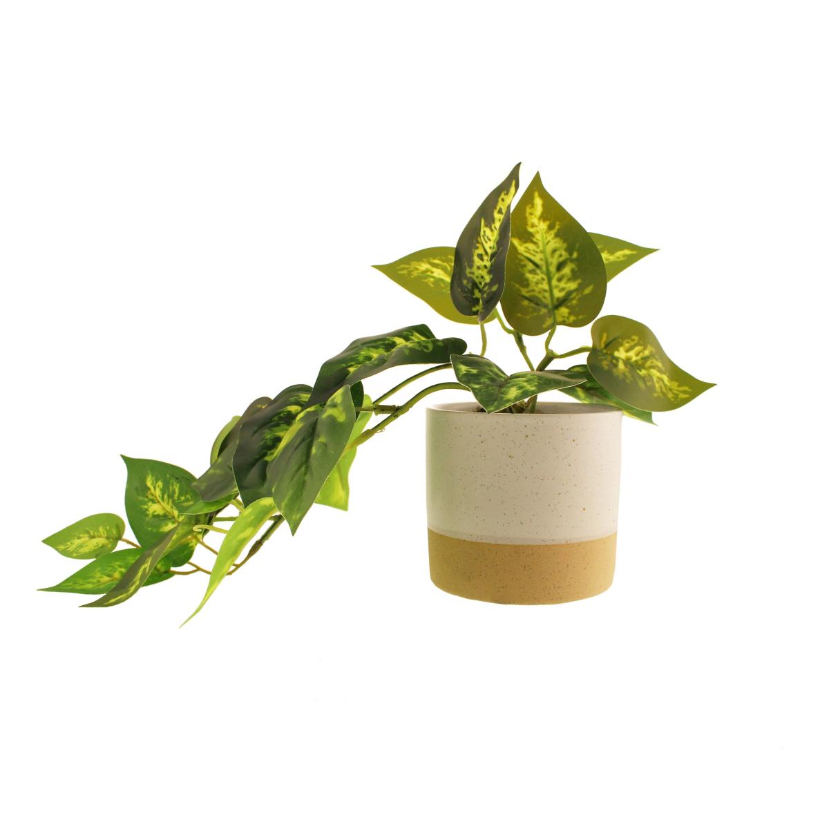 Artificial Trailing Devil's Ivy in Ceramic Pot Natural – image 2