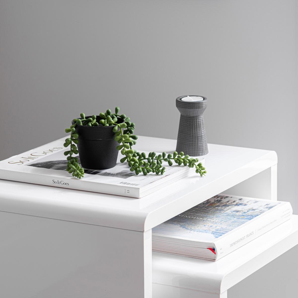 Artificial Trailing String of Pearls in Black Pot Green – image 2