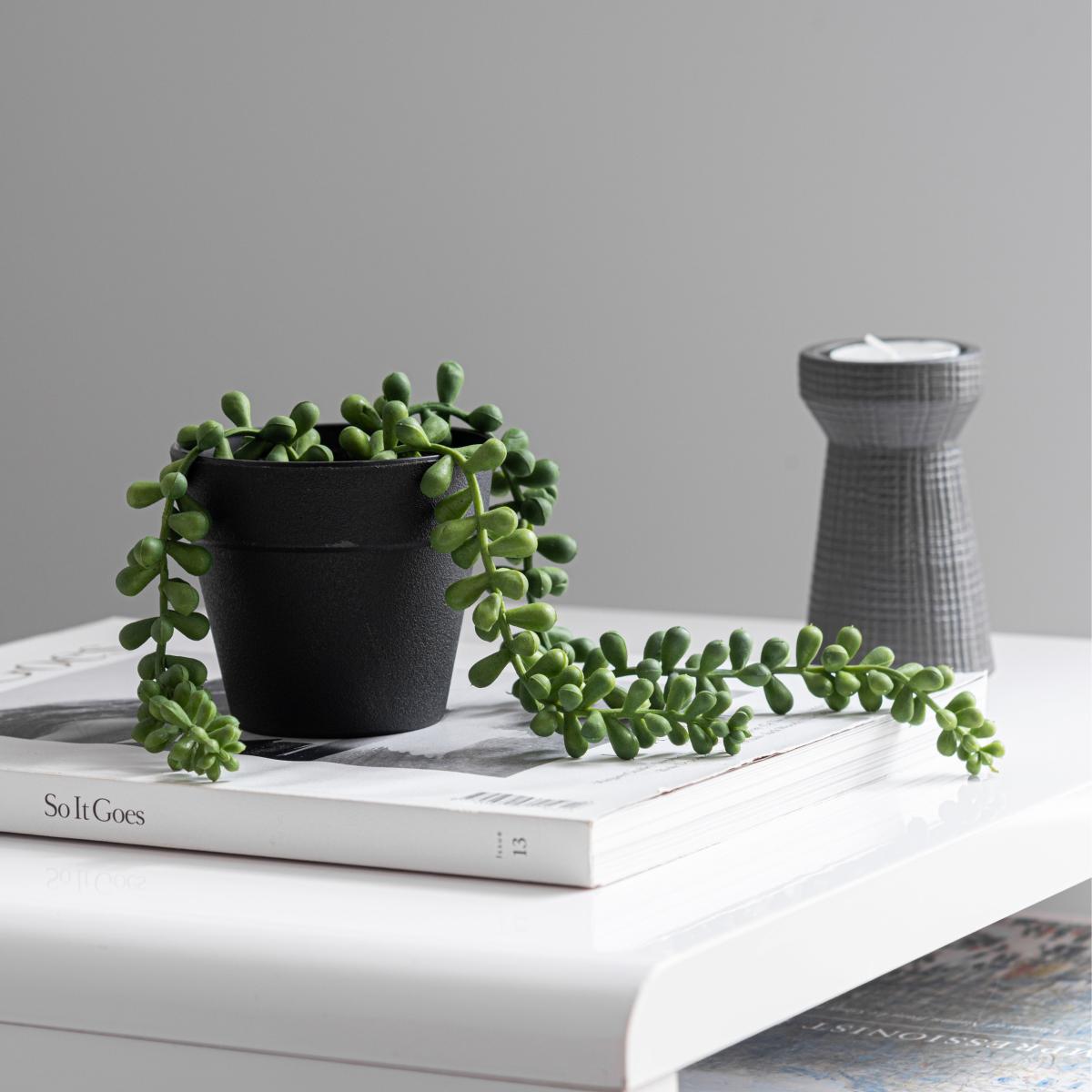 Artificial Trailing String of Pearls in Black Pot Green – image 3