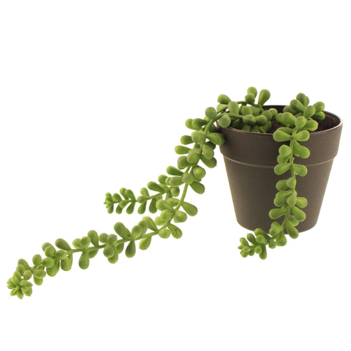 Artificial Trailing String of Pearls in Black Pot Green – image 4