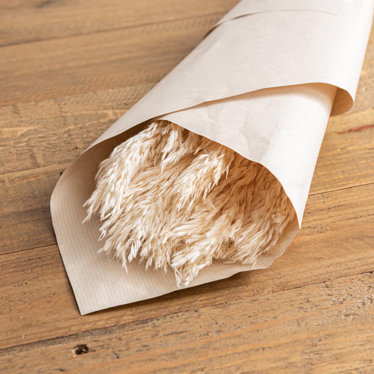 Pack of 12 Dried Bleached Nanal Bundle Ivory – image 2
