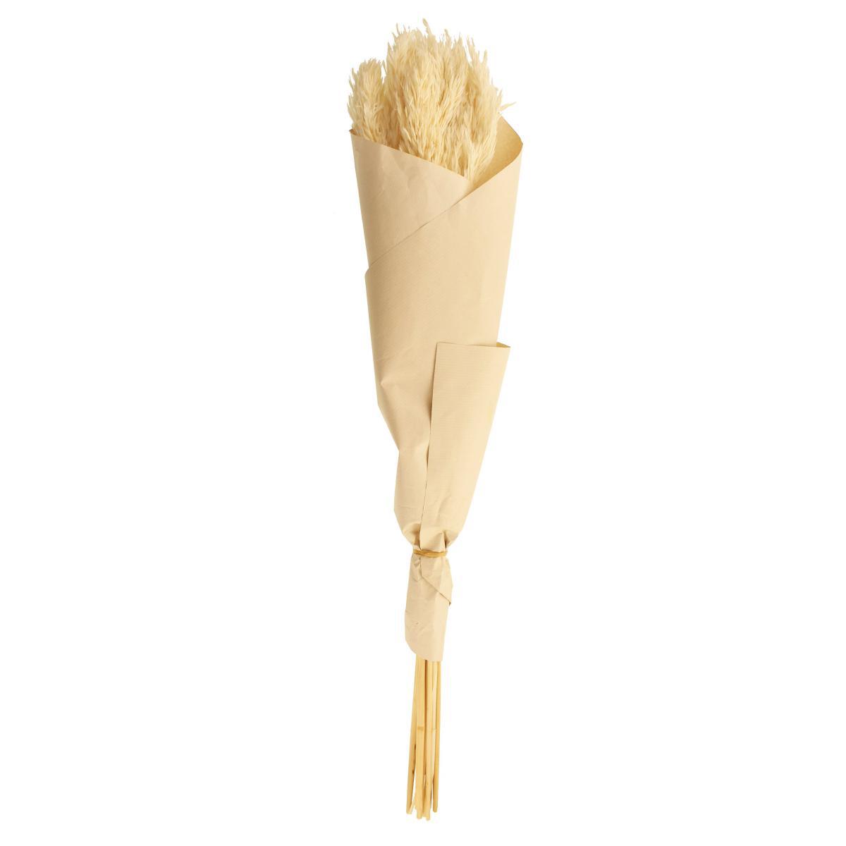 Pack of 12 Dried Bleached Nanal Bundle Ivory – image 5