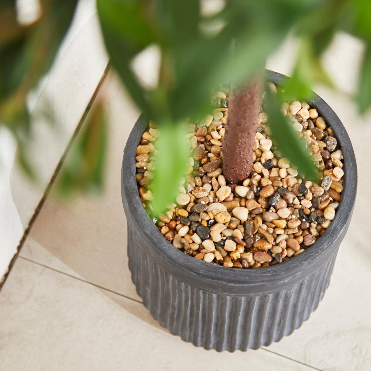 Olive Tree in Magnesium Pot 135cm Green – image 2
