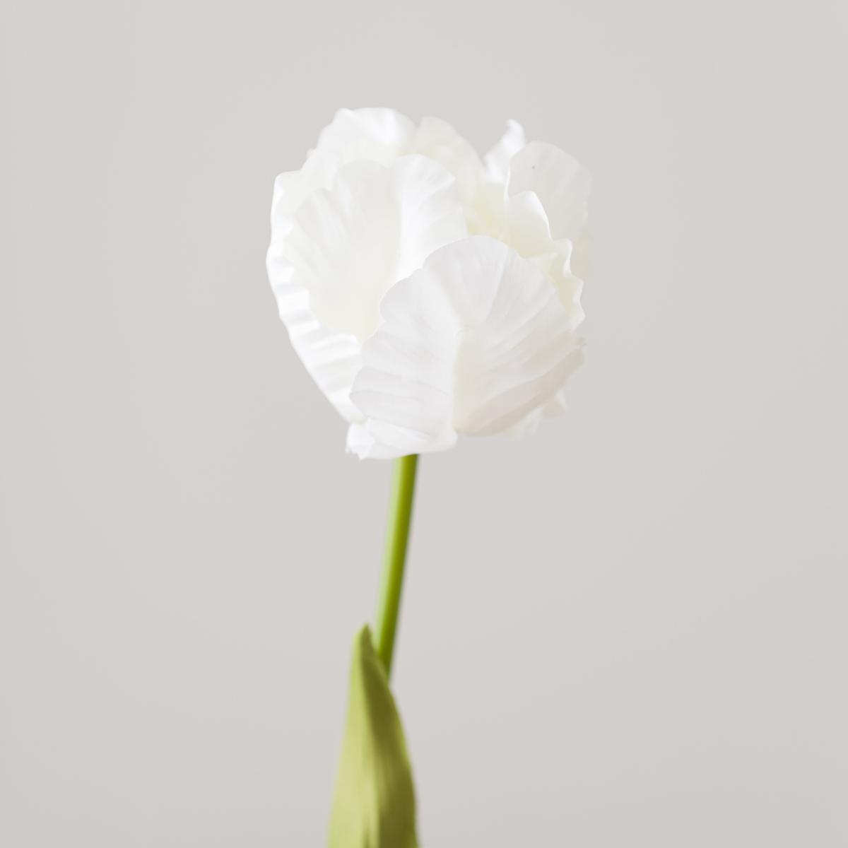 Artificial White Parrot Tulip Stem – image 3