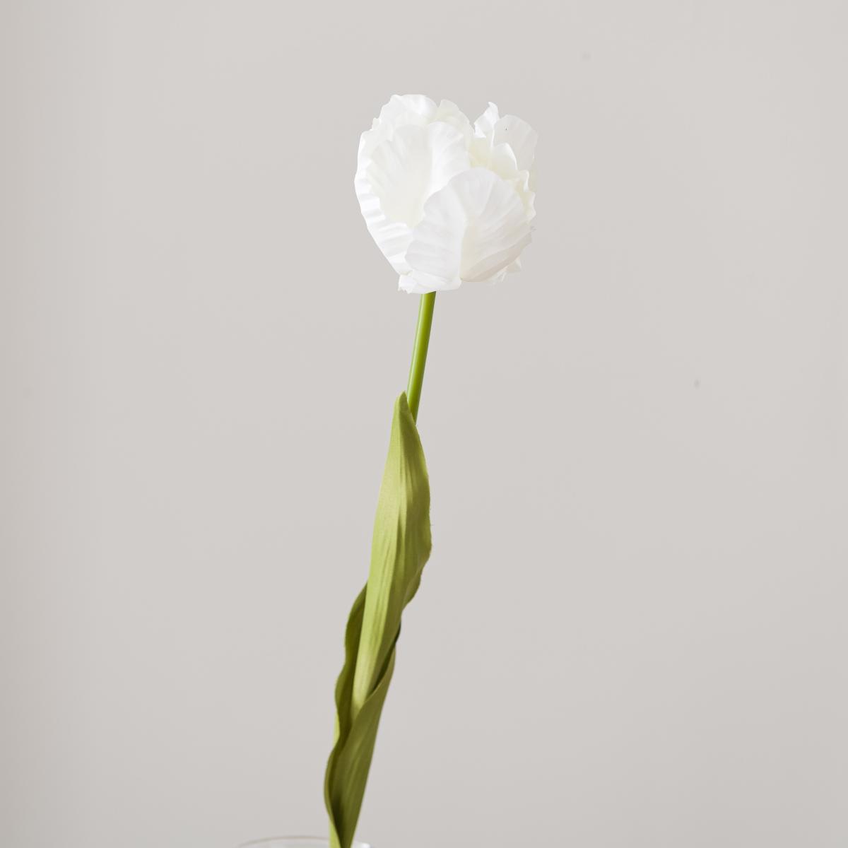 Artificial White Parrot Tulip Stem – image 4