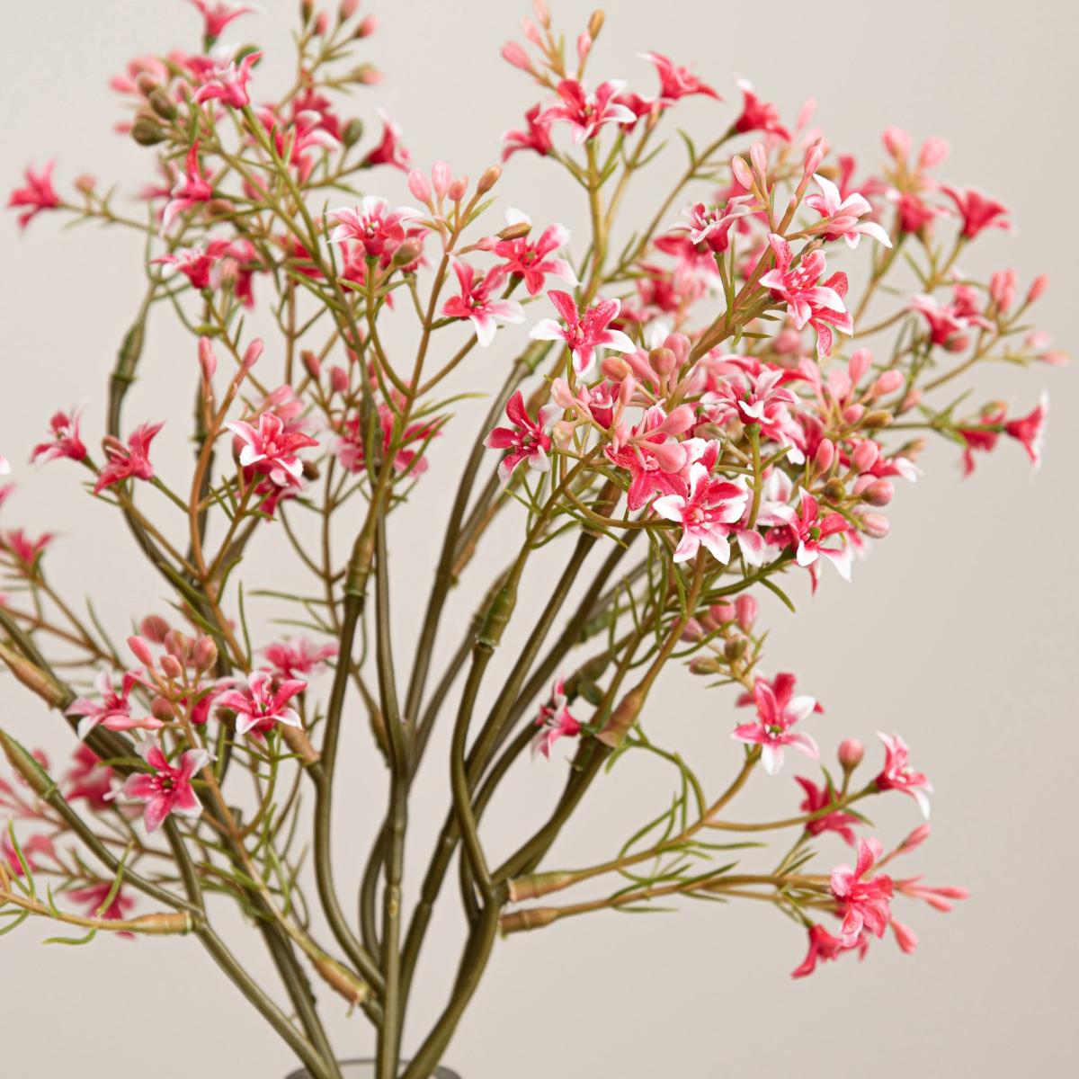 Star Pink Flower Bundle Pink – image 2
