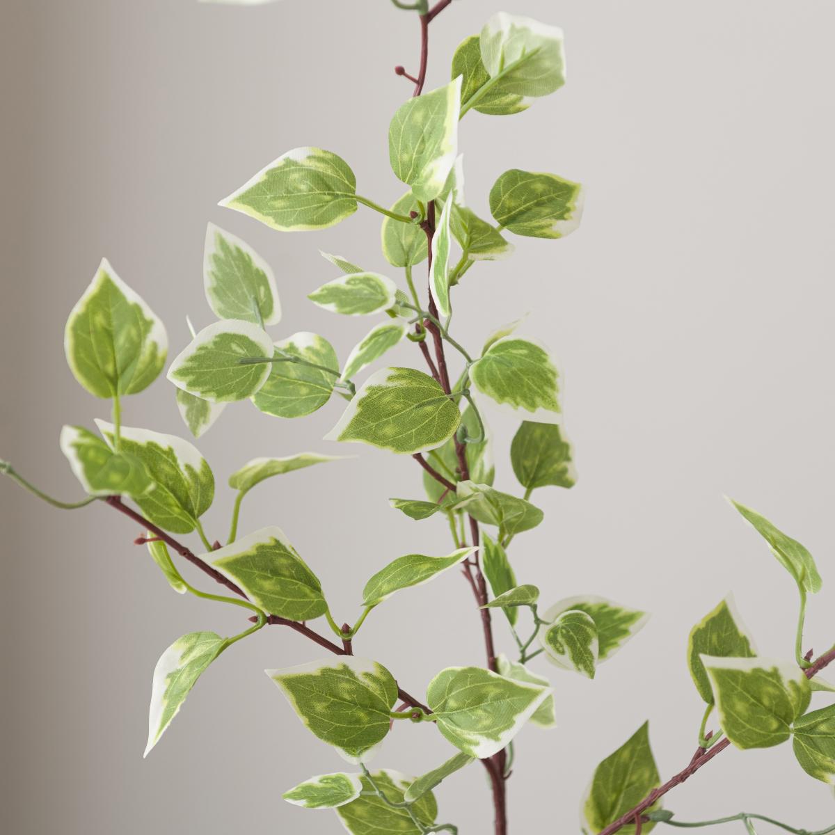 Artificial Variegated Leaf Stem – image 4