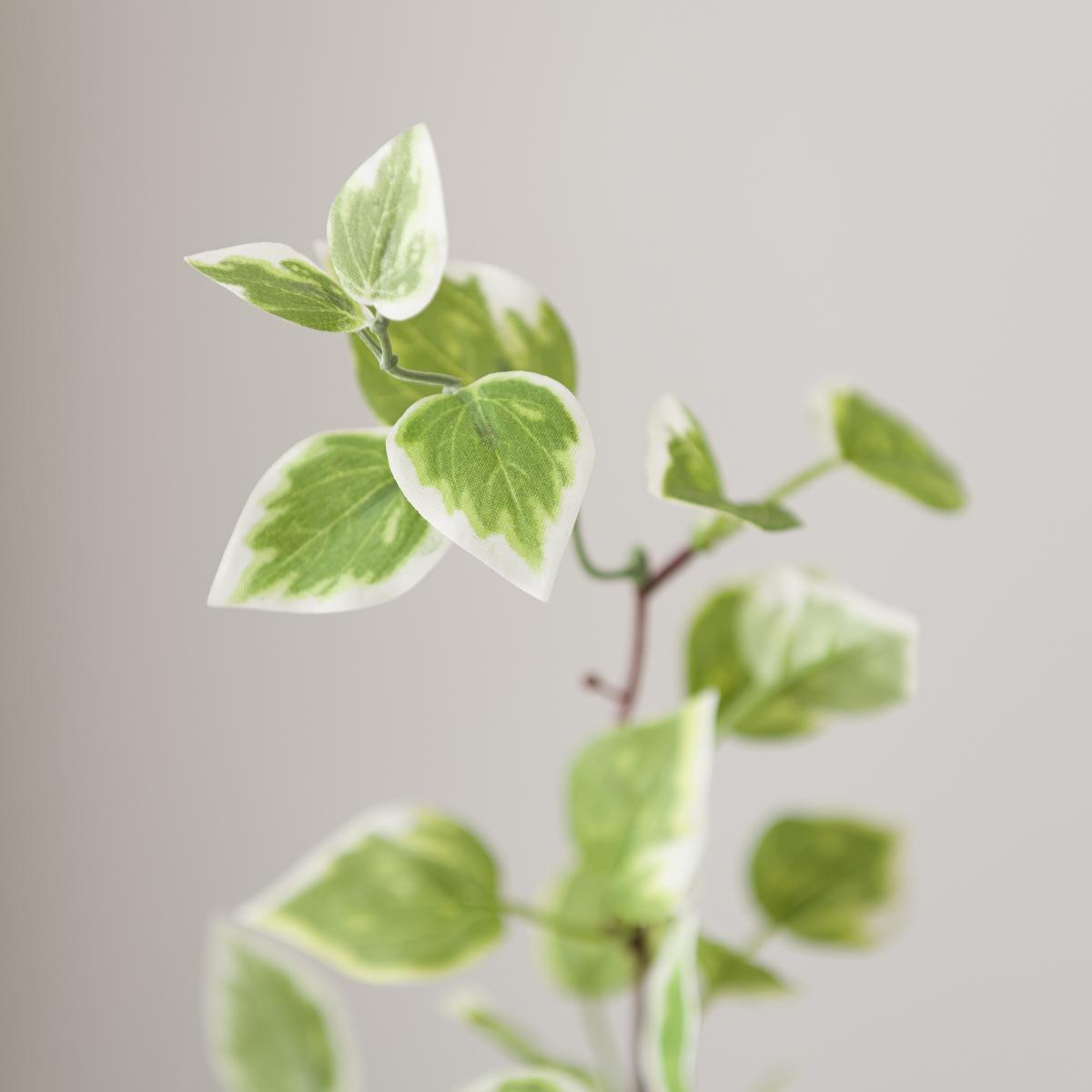 Artificial Variegated Leaf Stem – image 5