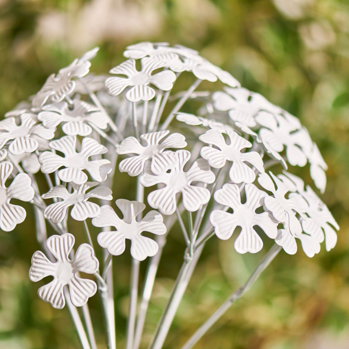 Cambridge Milk Parsley Flower Stake MultiColoured – image 2