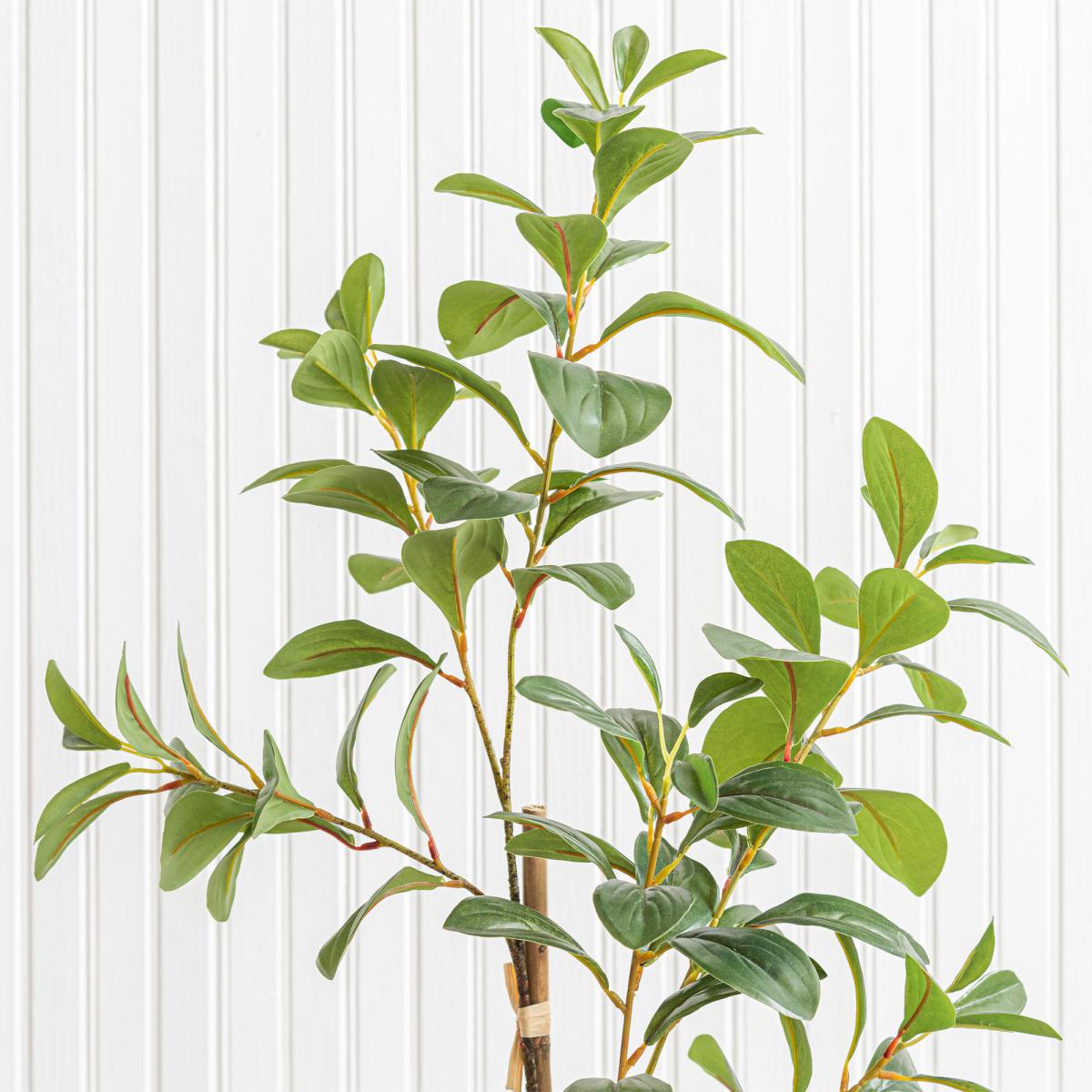 Camellia Leaf in Pot Green – image 2
