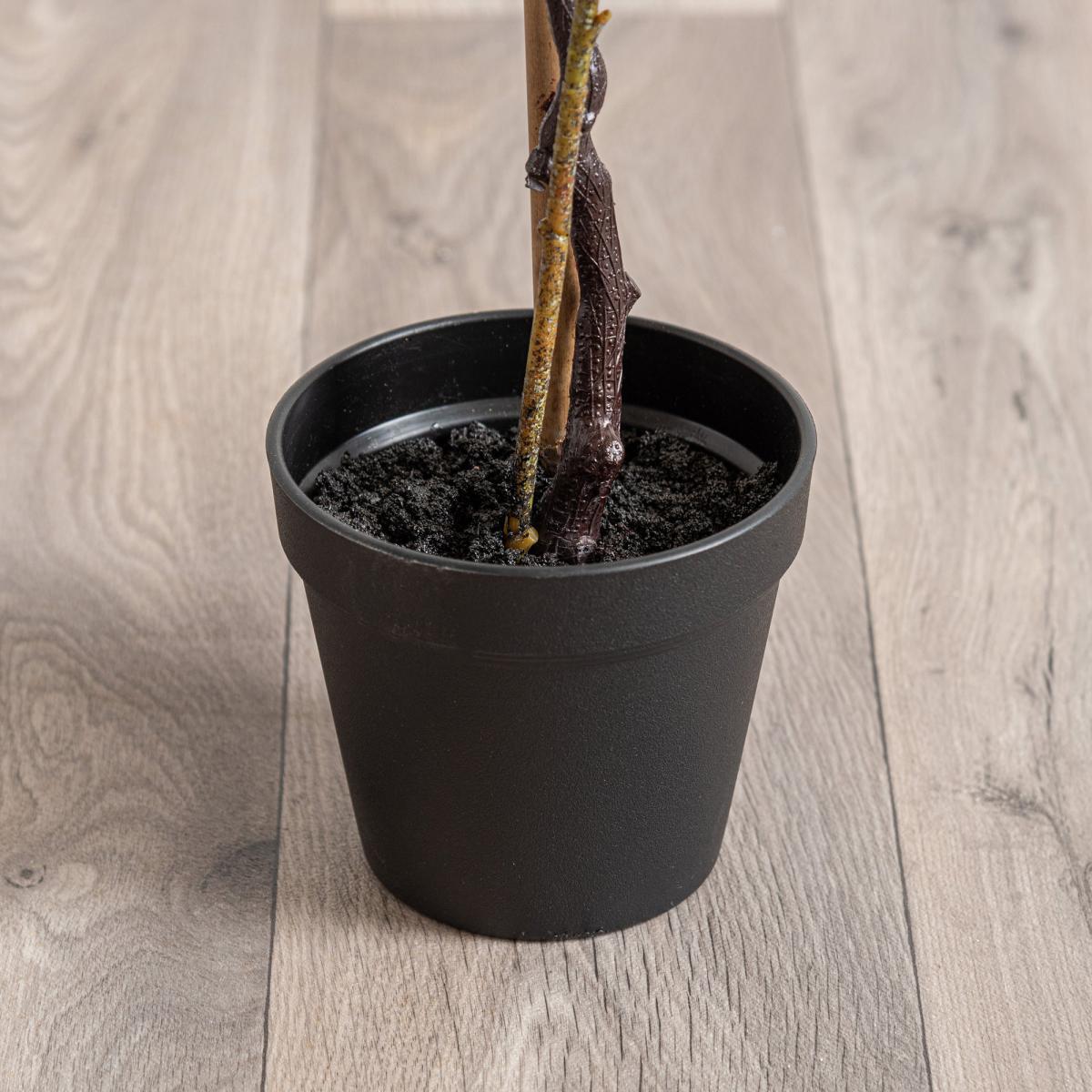 Camellia Leaf in Pot Green – image 3