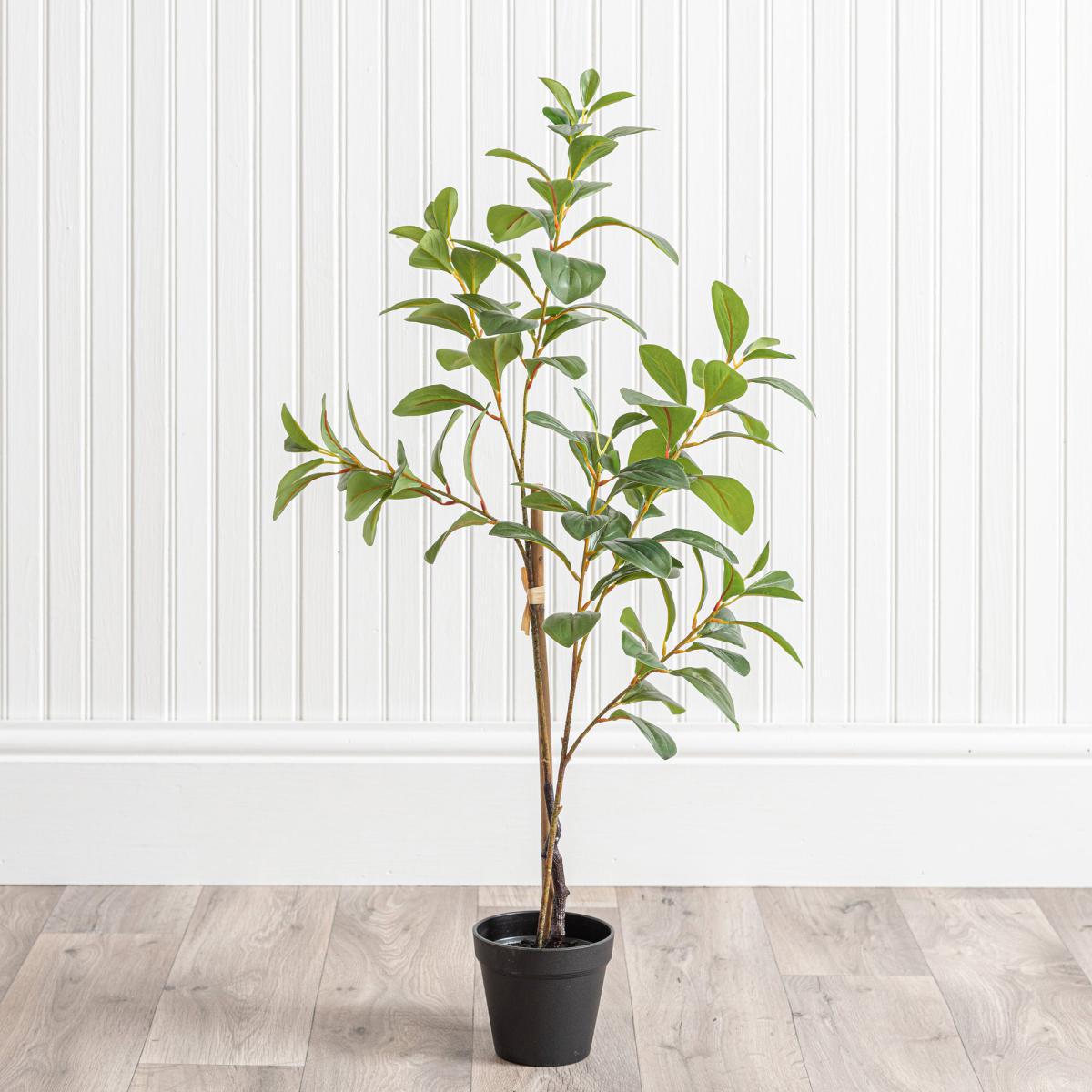 Camellia Leaf in Pot Green – image 4