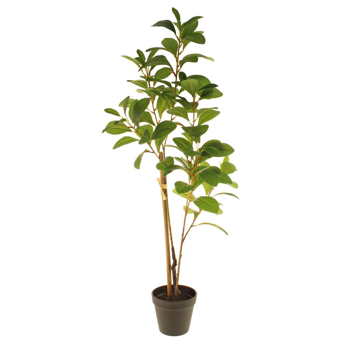 Camellia Leaf in Pot Green – image 5