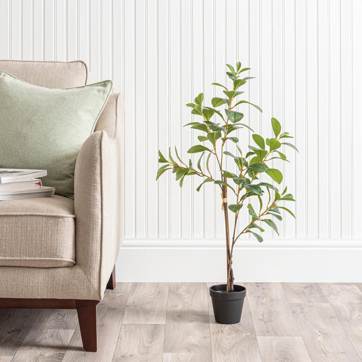 Camellia Leaf in Pot Green – image 1