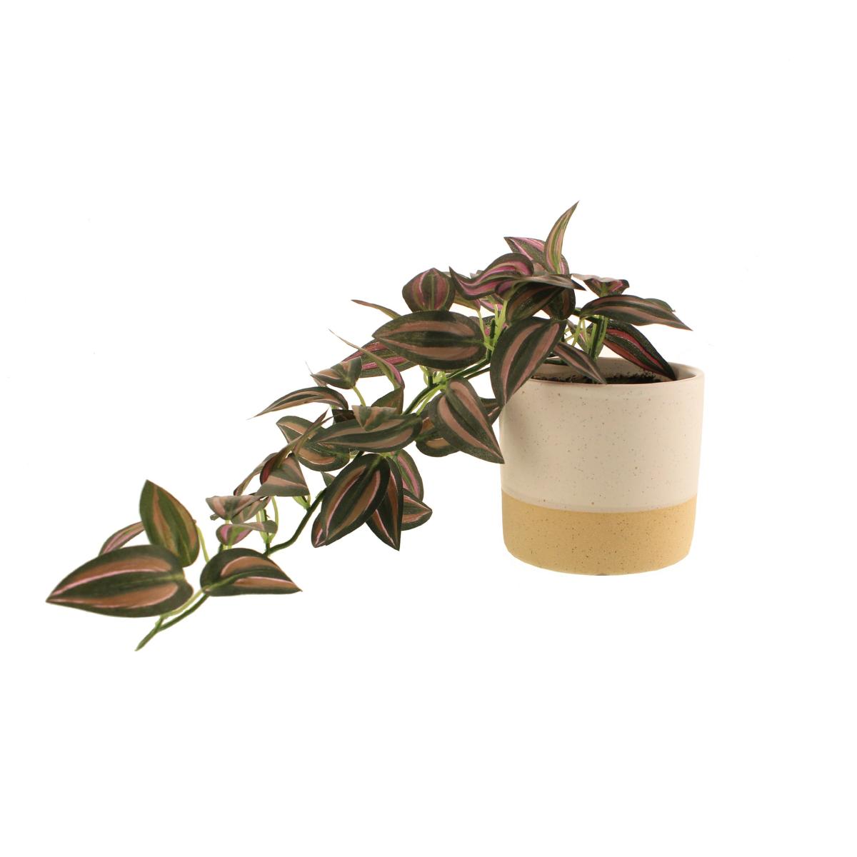 Artificial Trailing Tradescantia in Ceramic Pot Natural – image 3