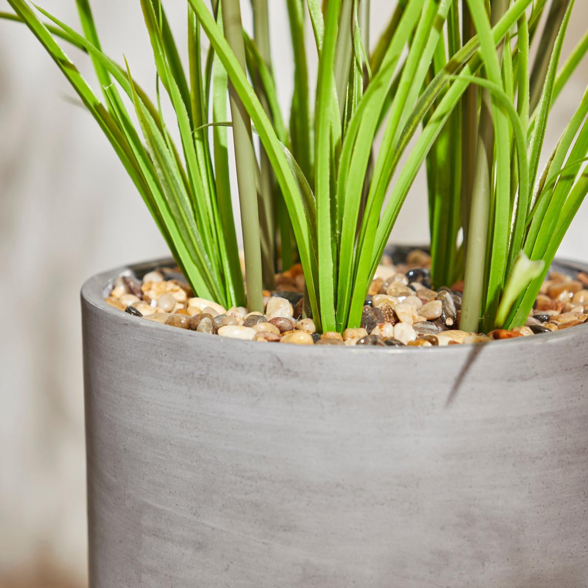 Palm Tree in Grey Pot Stand Green – image 2