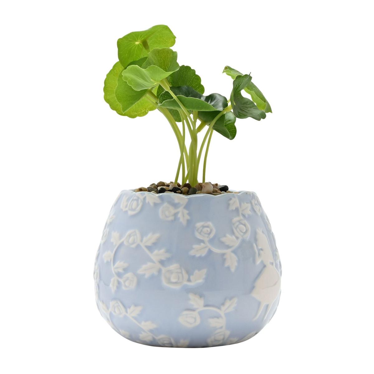 Set of 2 Artificial Plants in Disney Alice in Wonderland Plant Pots – image 3
