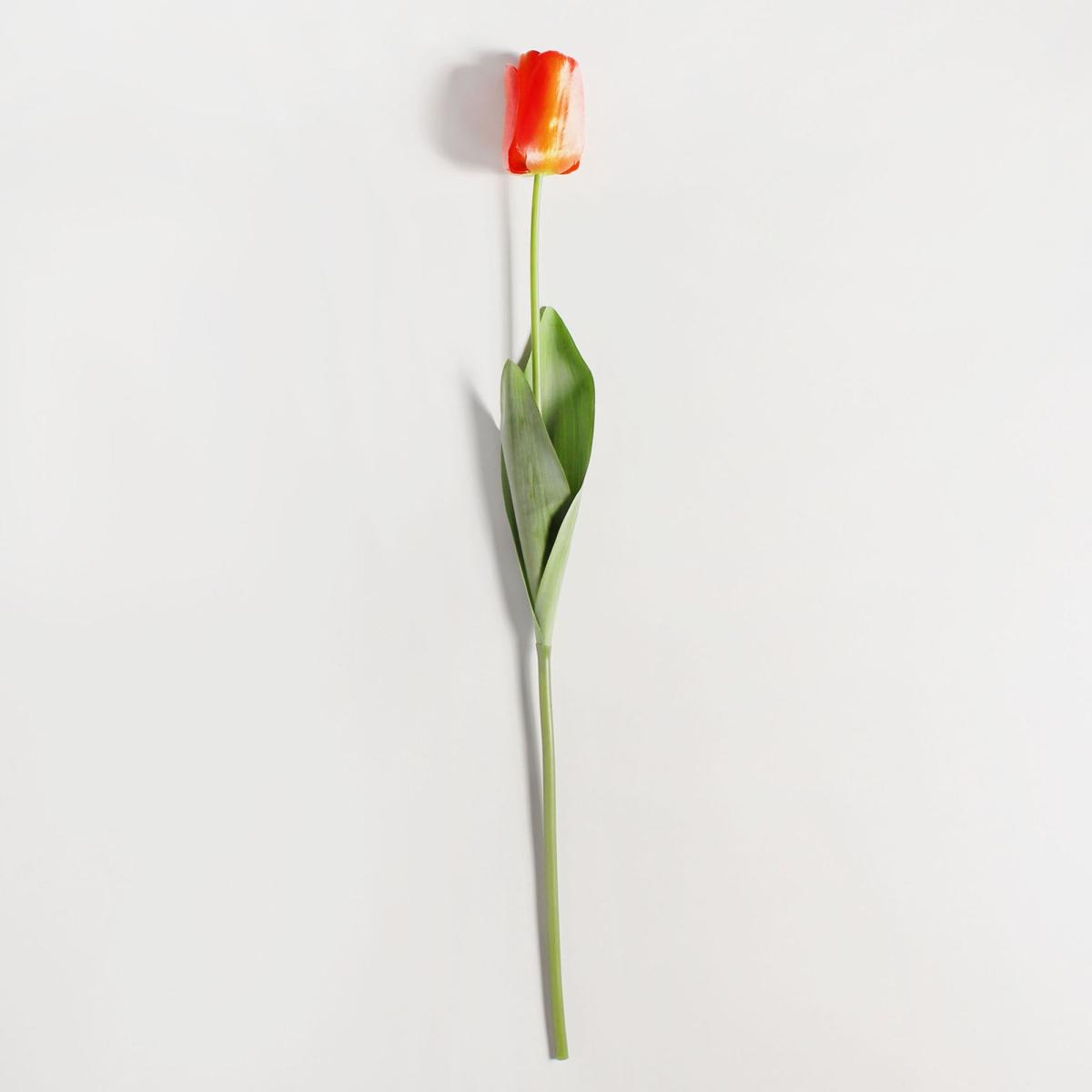 Pack of 12 Artificial Tulip Orange Stem 60cm – image 3