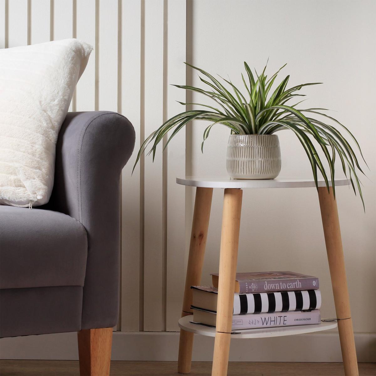 Artificial Set of 2 Spider and Eucalyptus Plants in Ribbed Ceramic Plant Pots Green – image 2