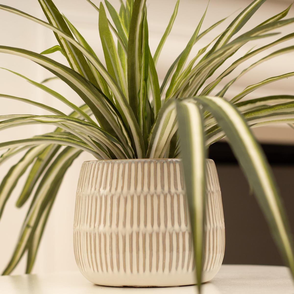 Artificial Set of 2 Spider and Eucalyptus Plants in Ribbed Ceramic Plant Pots Green – image 4