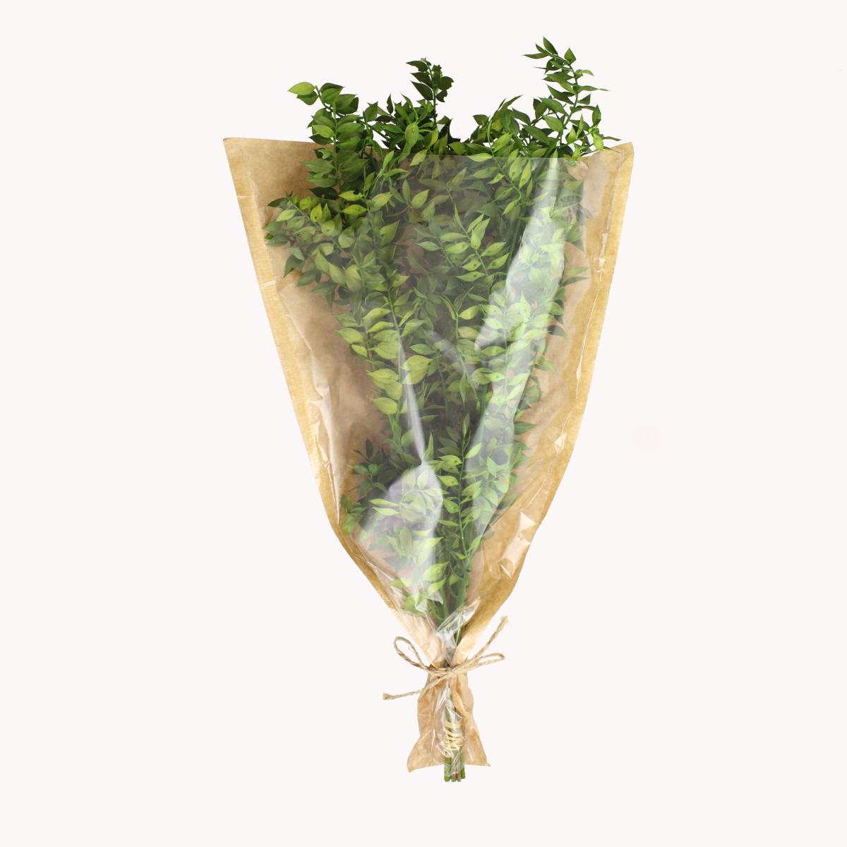 Preserved Green Ruscus 75g Green – image 3