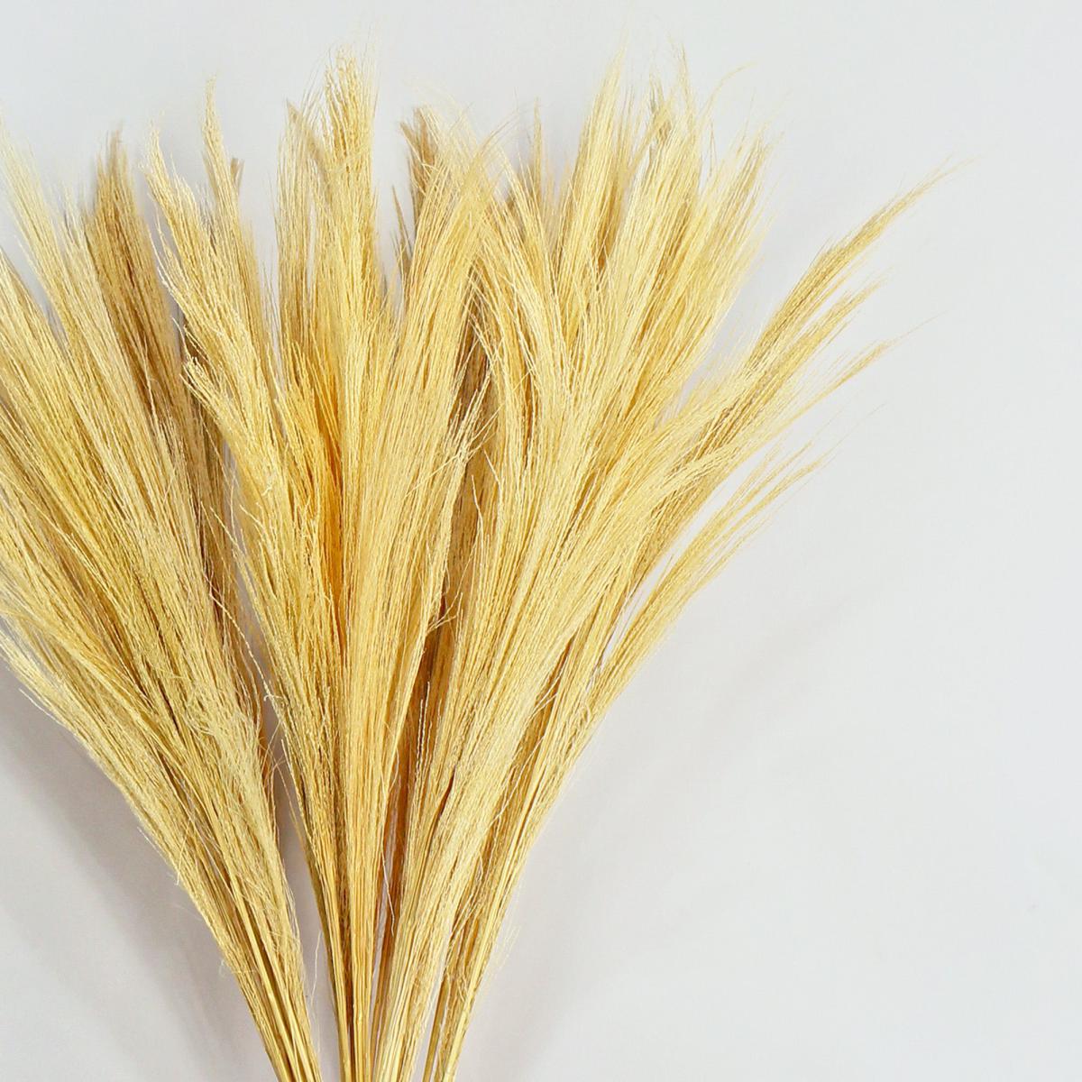 Dried Broom Grass 100cm 6 Pack Bleached Natural – image 2