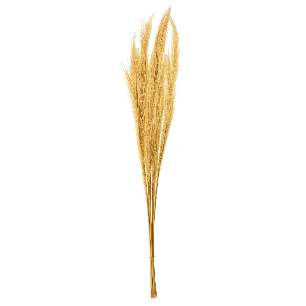 Dried Broom Grass 100cm 6 Pack Bleached Natural – image 3