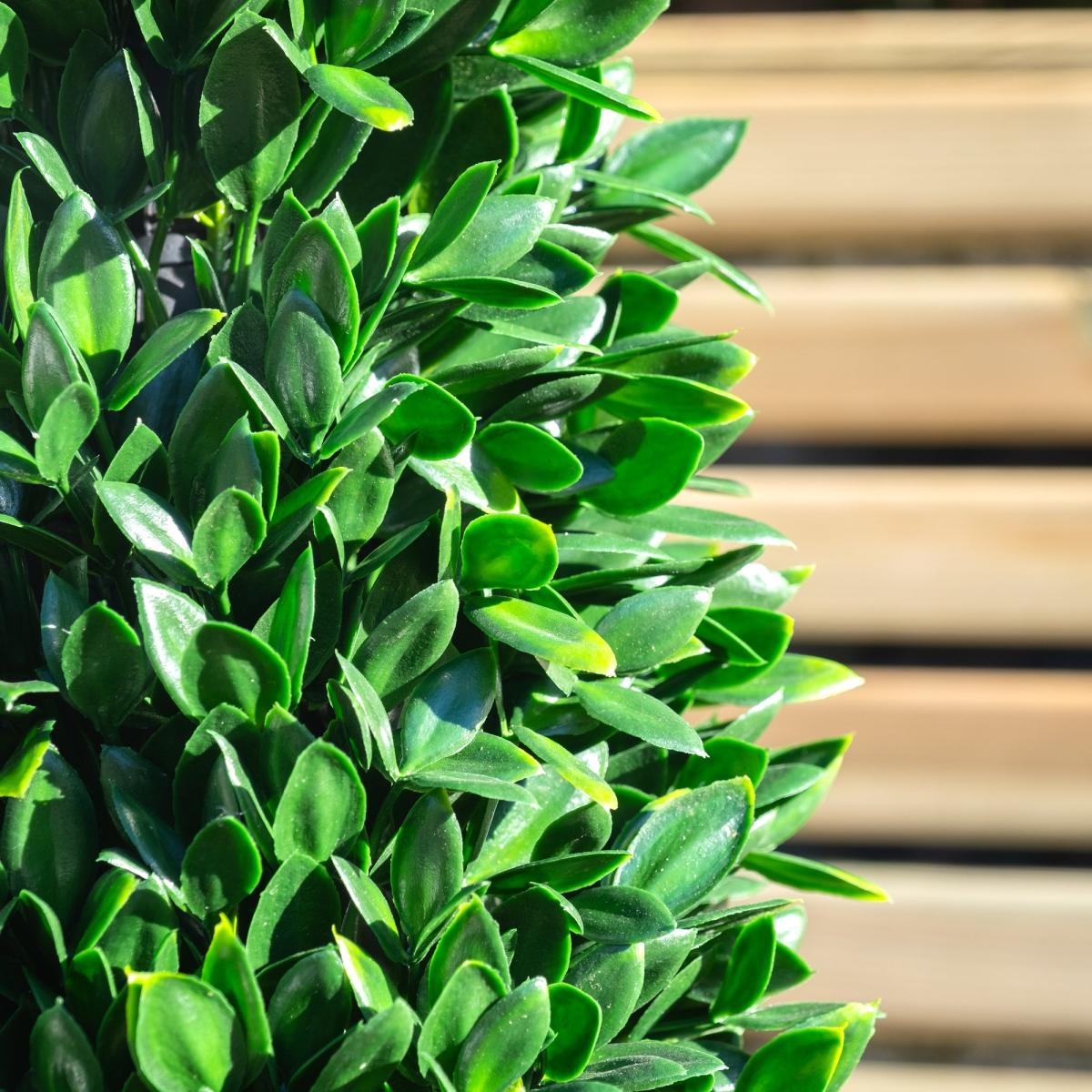 Artificial Cone Topiary in Terracotta Pot Green – image 2