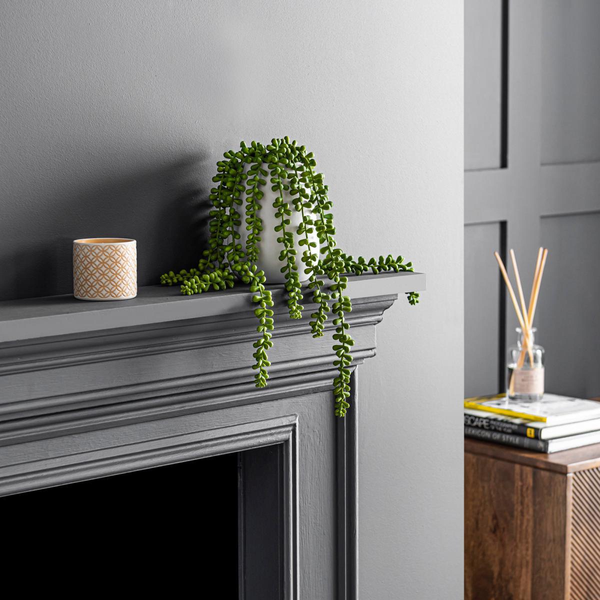String of Pearls in Ceramic Pot Green – image 3