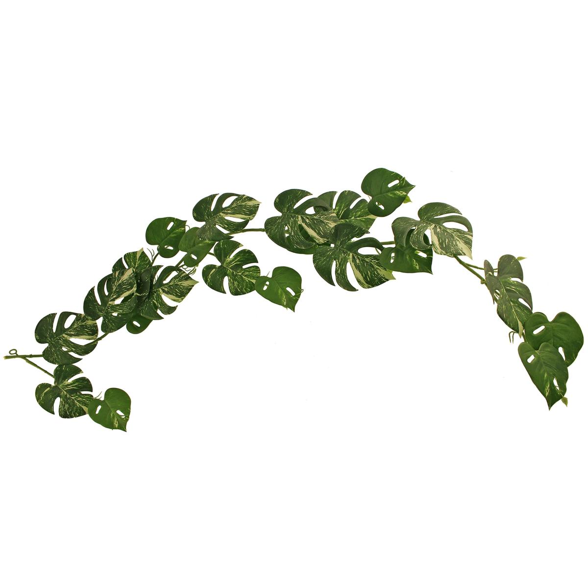 Variagated Monstera Garland 135cm Green – image 5
