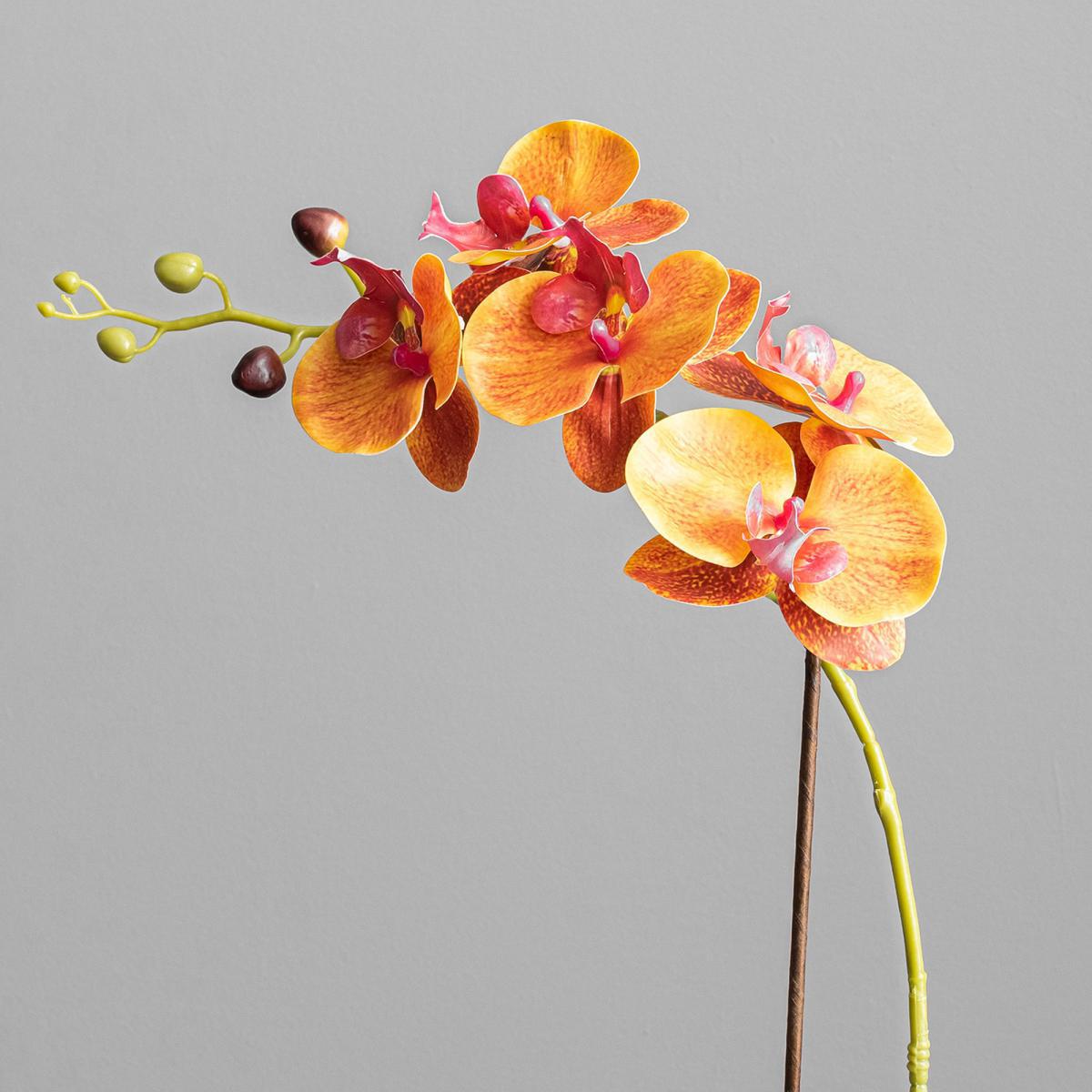 Yellow Orchid in Cement Pot Yellow – image 2