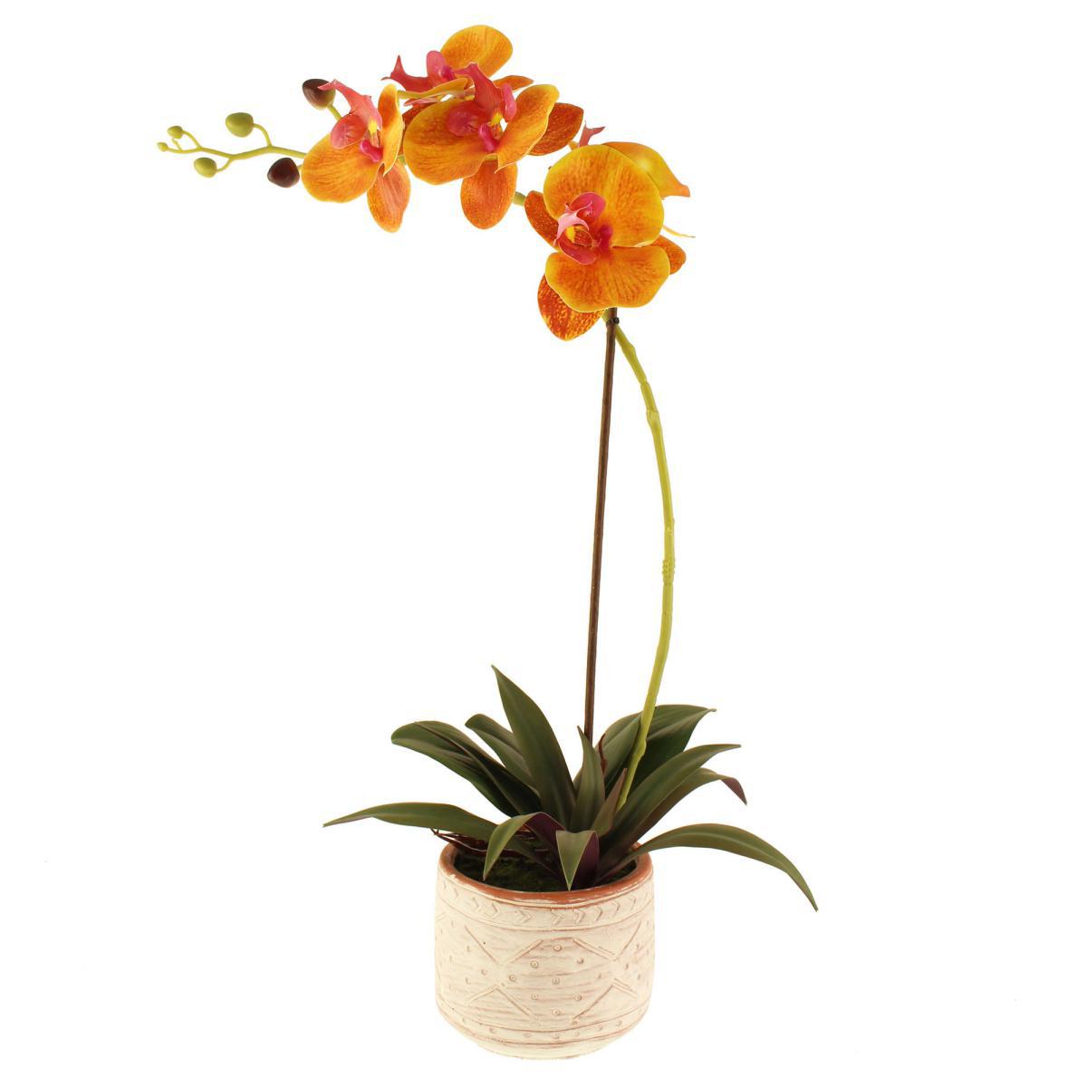 Yellow Orchid in Cement Pot Yellow – image 5