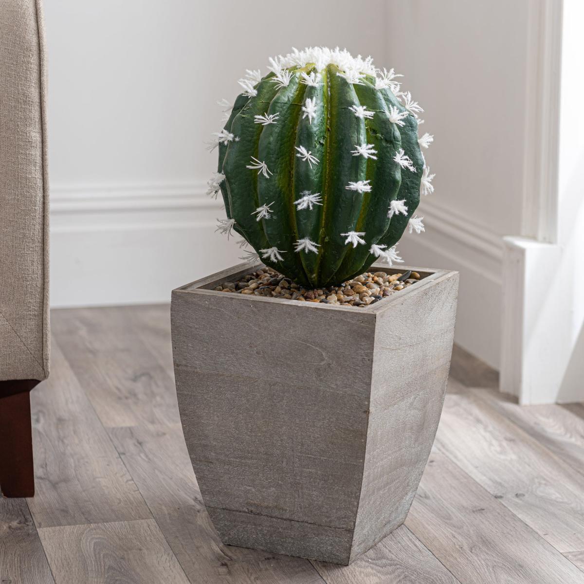 Cactus in Wood Planter Green – image 2