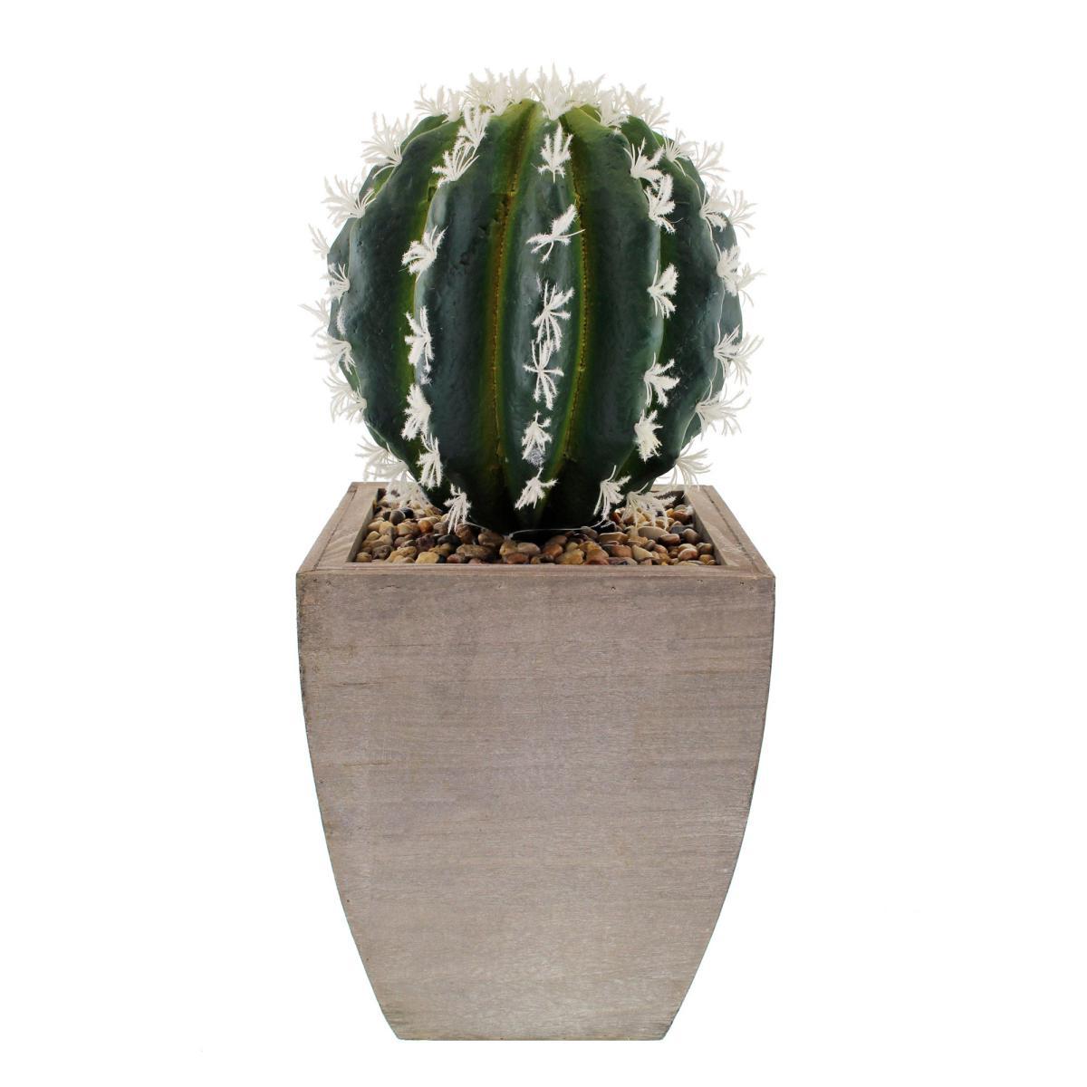 Cactus in Wood Planter Green – image 4