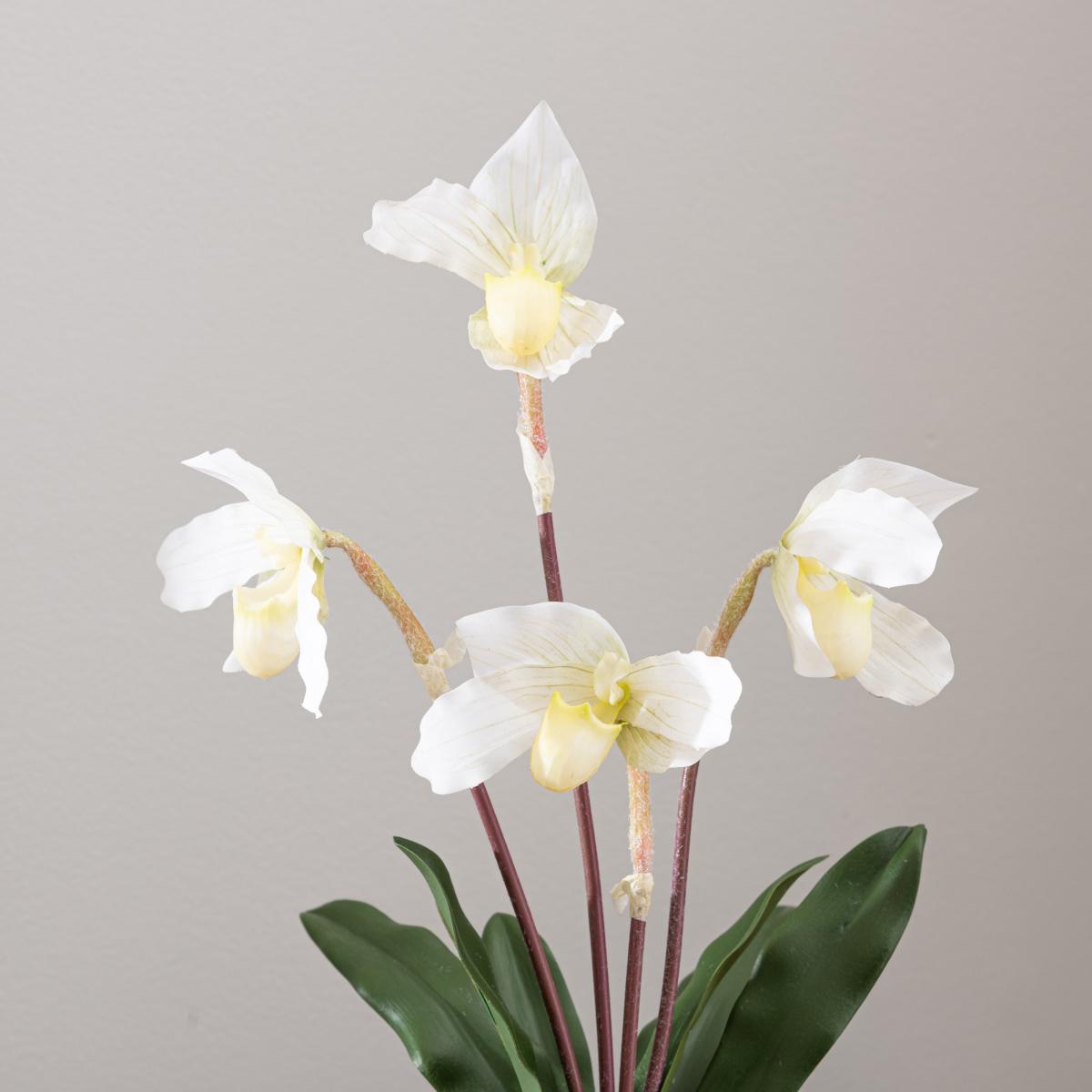 Real Touch Cream Slipper Orchid 50cm White – image 2