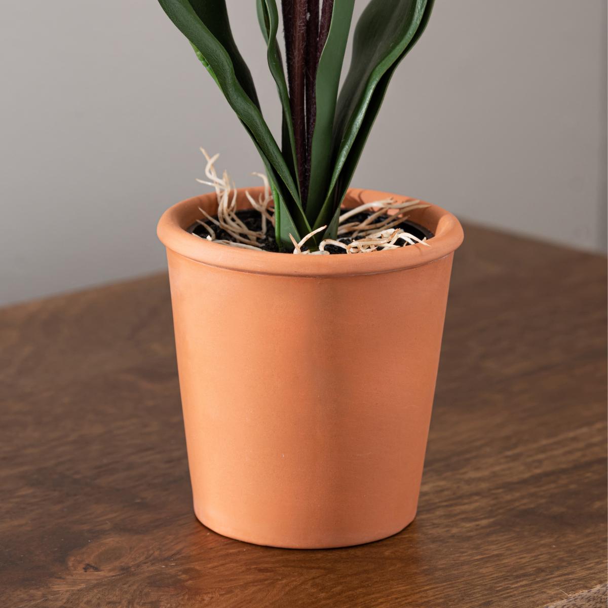 Real Touch Cream Slipper Orchid 50cm White – image 3