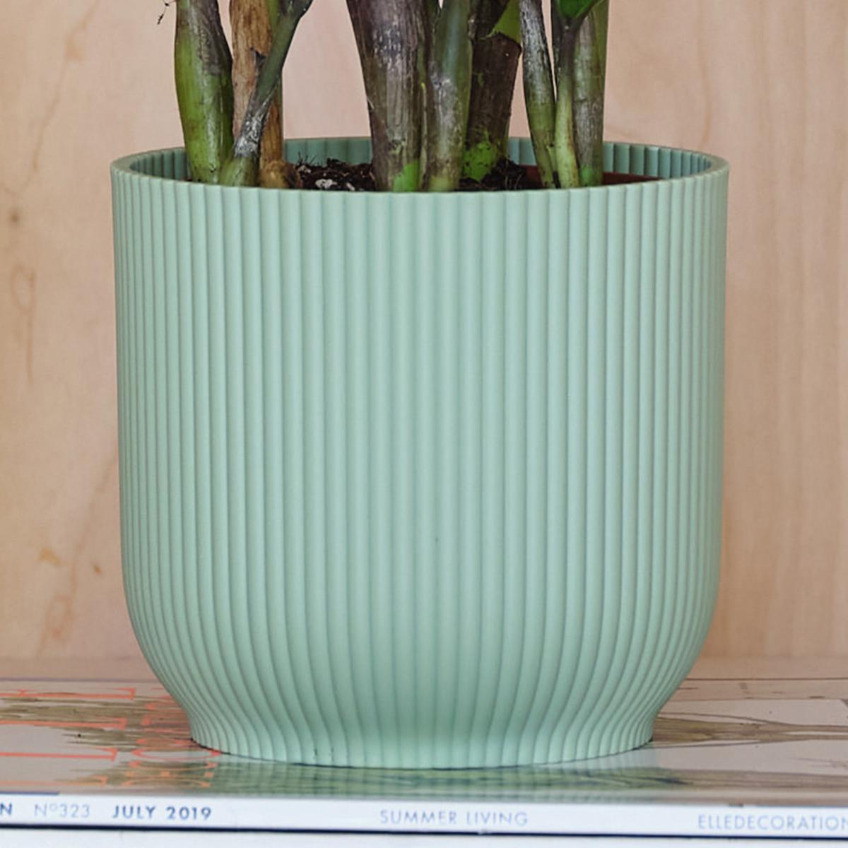 ZZ House Plant in Elho Pot Plastic Mint – image 3