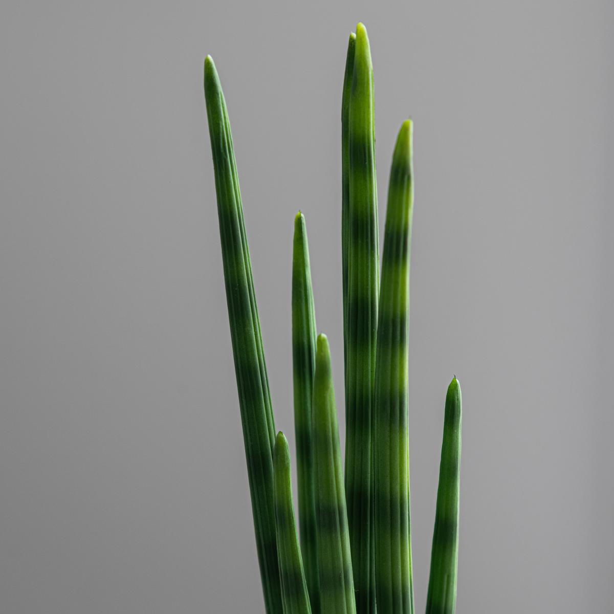 Artificial Snake Plant in Black Pot 50cm Green – image 2