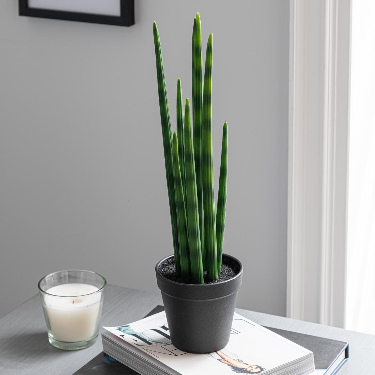 Artificial Snake Plant in Black Pot 50cm Green – image 3