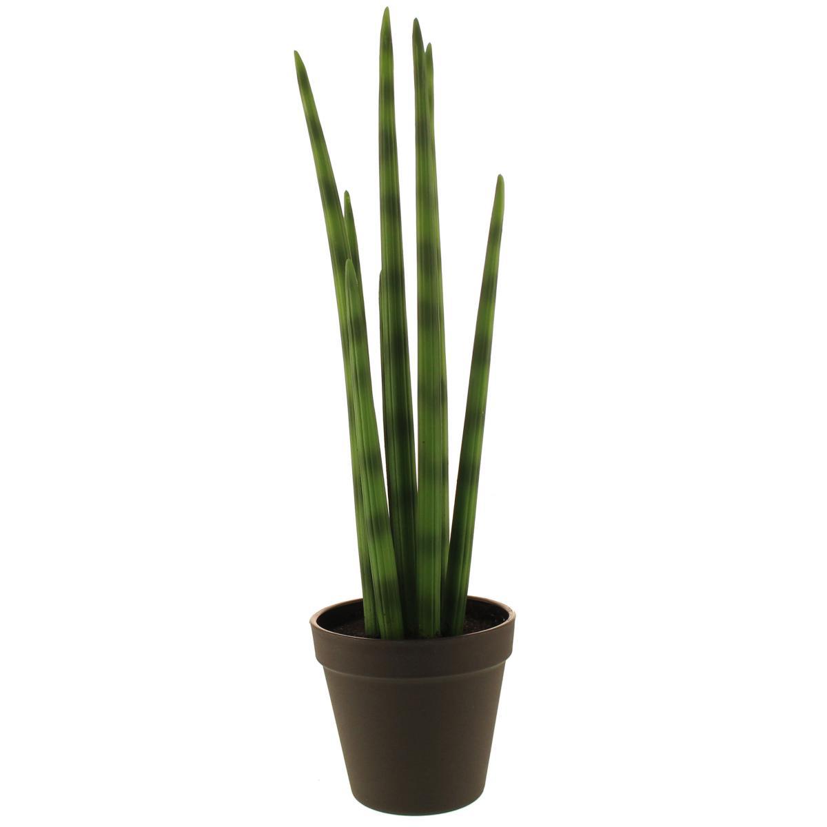 Artificial Snake Plant in Black Pot 50cm Green – image 4