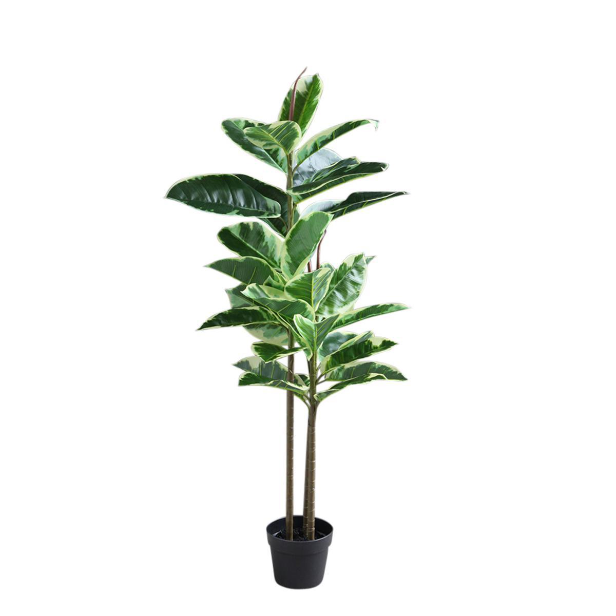 Artificial Variagated Triple Stem Rubber Tree Green – image 2