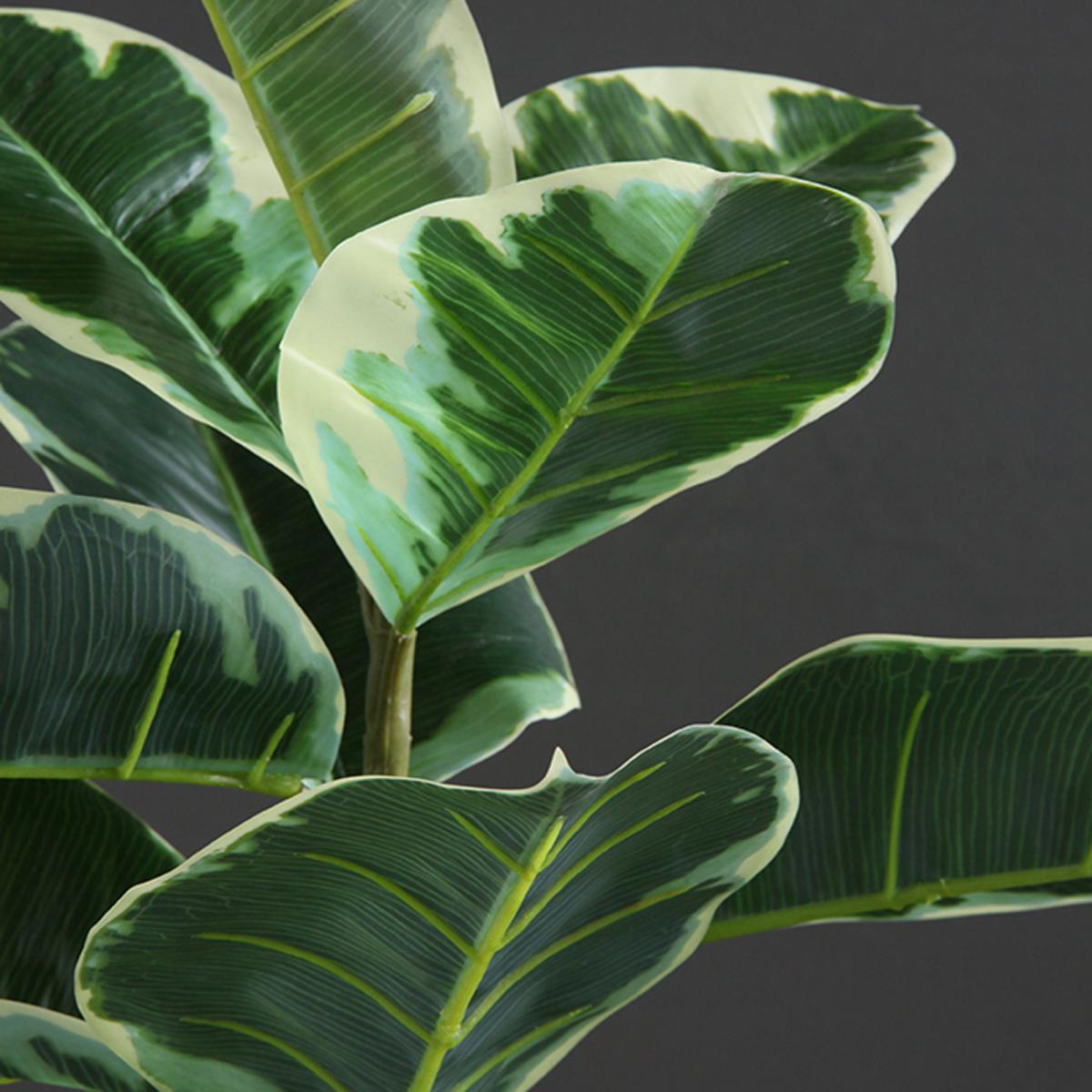 Artificial Variagated Triple Stem Rubber Tree Green – image 3