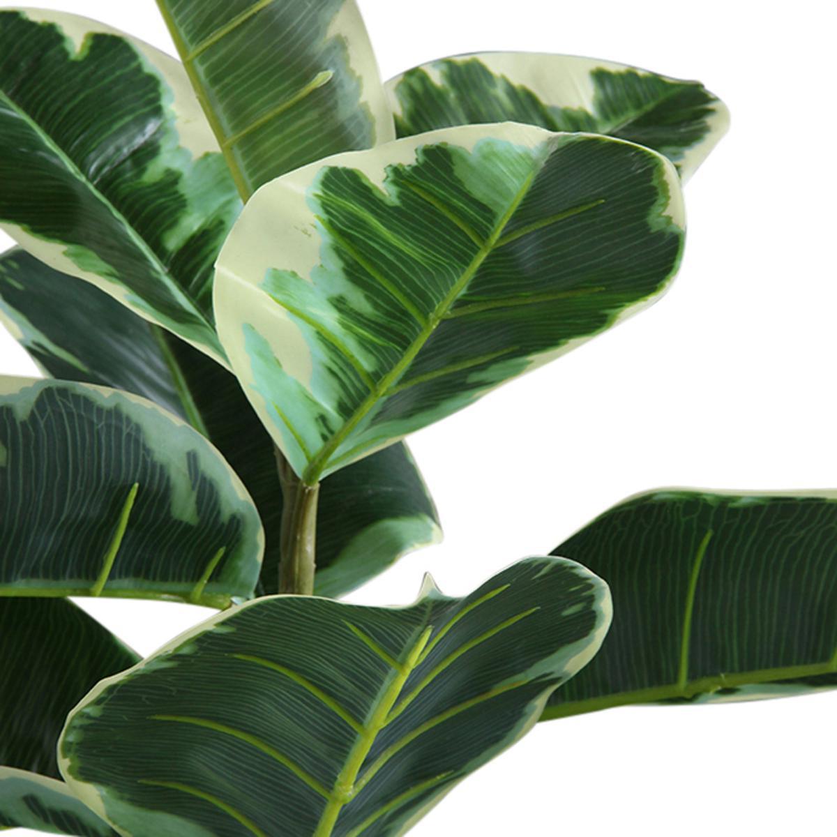 Artificial Variagated Triple Stem Rubber Tree Green – image 4