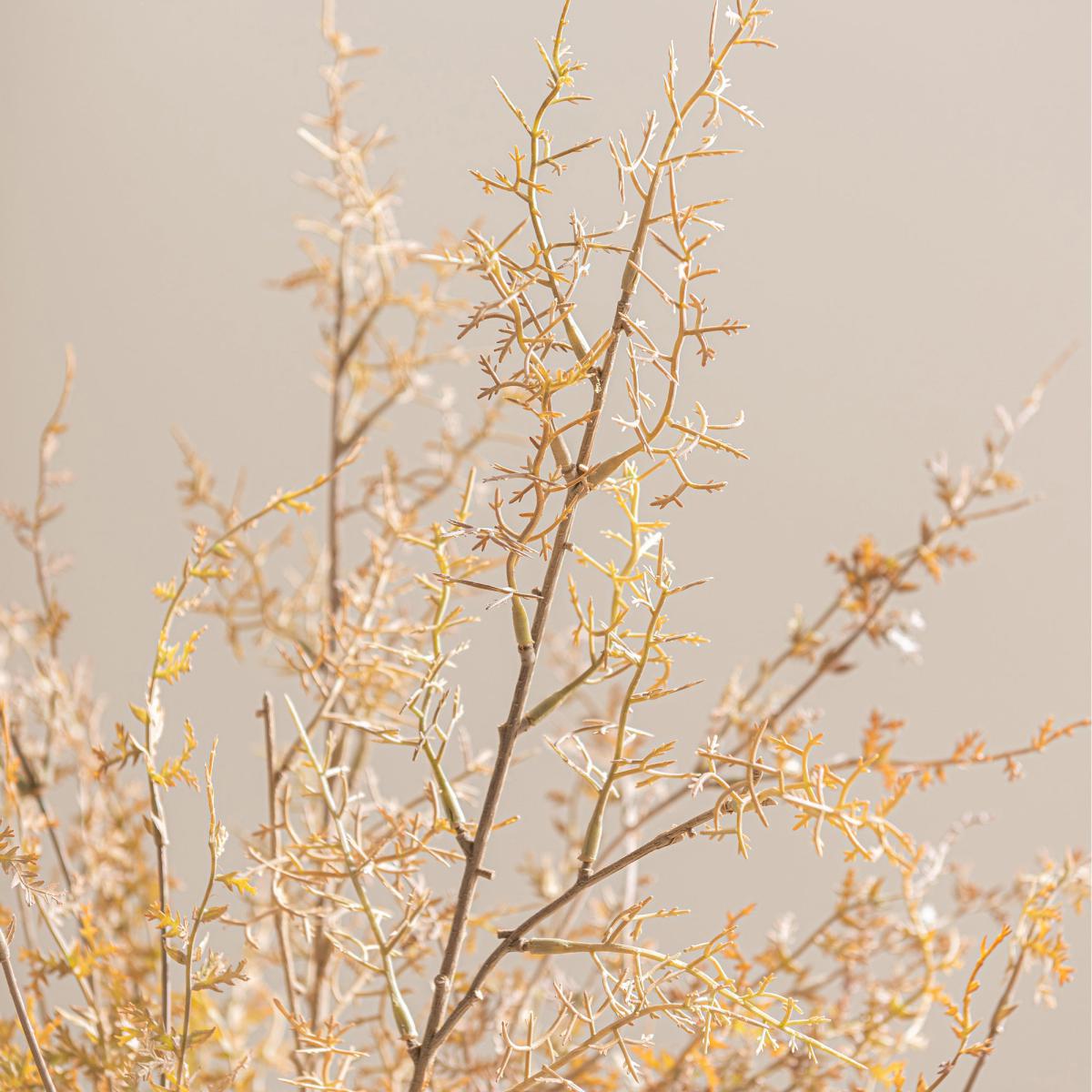 Savanna Grass in Glass Vase 58cm Natural – image 2