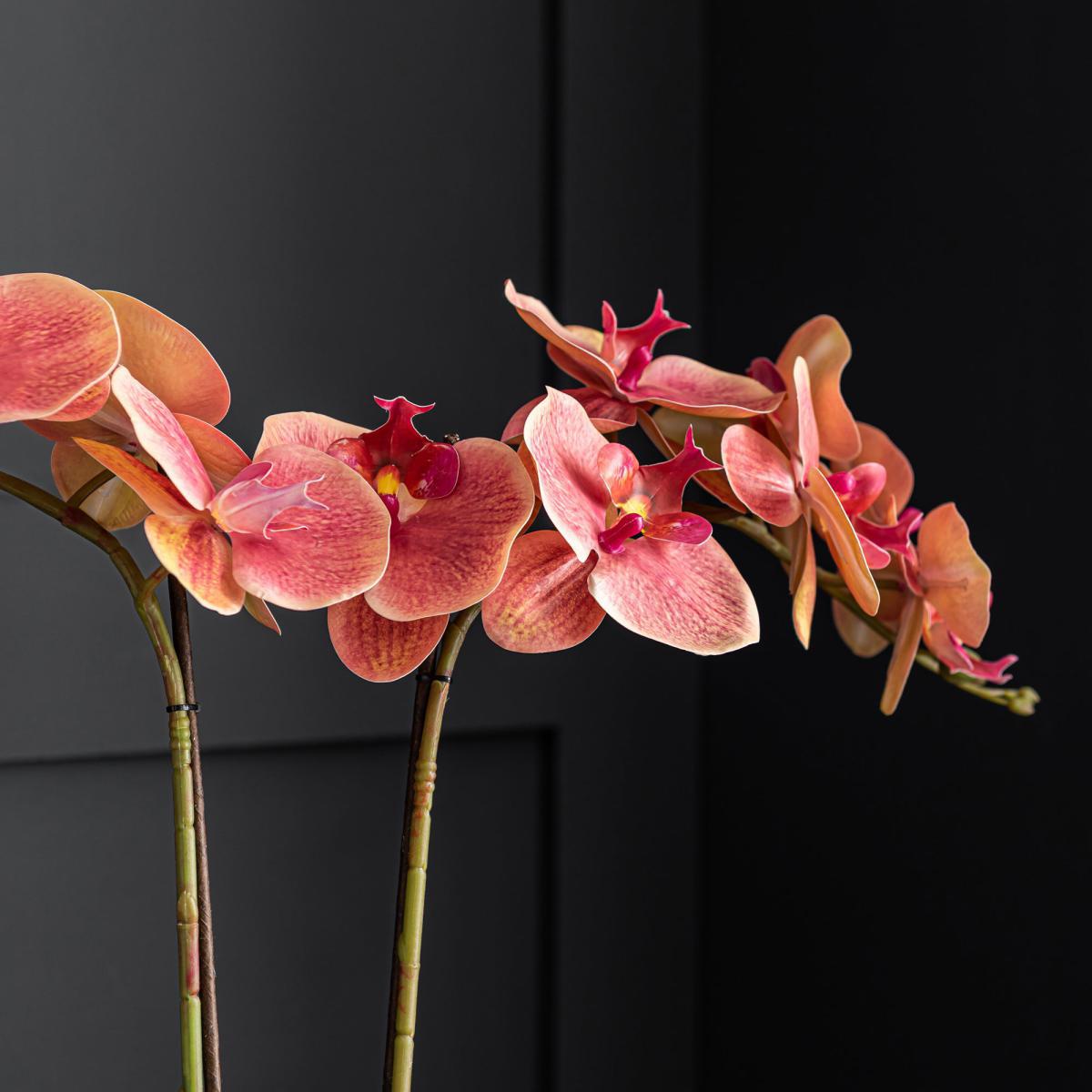 Pink Orchid in Ceramic Pot 57cm Pink – image 2