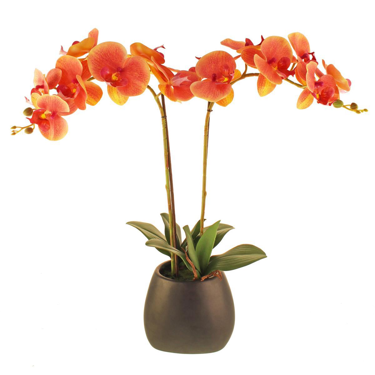 Pink Orchid in Ceramic Pot 57cm Pink – image 6