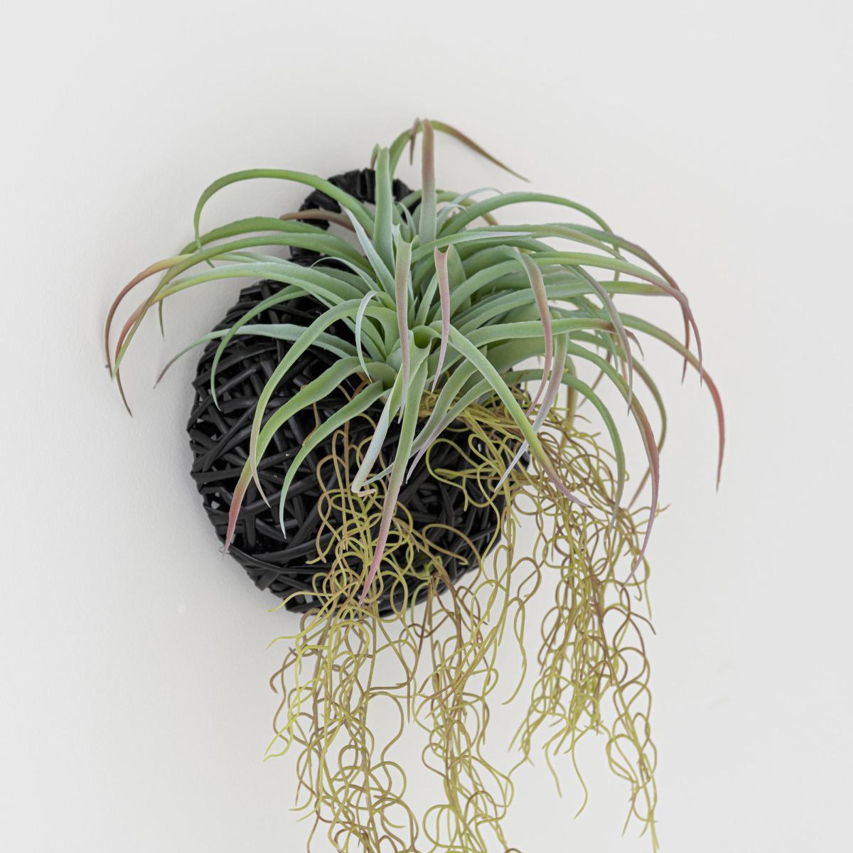 Hanging Grass in Black Basket Green – image 2