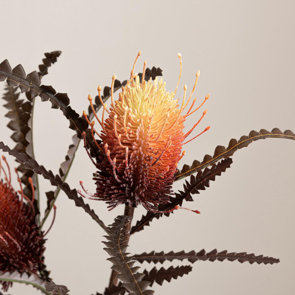 Banksia Orange Spray Orange – image 3