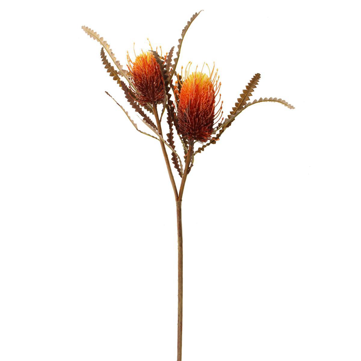 Banksia Orange Spray Orange – image 5